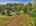 Blurred preview of media: 9zzh
