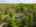 Blurred preview of media: Kerwood-26