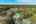 Blurred preview of media: 124