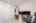 Blurred preview of media: 1-22
