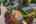 Blurred preview of media: 1-3