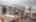 Blurred preview of media: IMG_1446