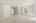 Blurred preview of media: Nerine_092