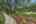 Blurred preview of media: 1309 Hideaway Drive S-21