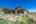 Blurred preview of media: A-13