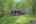 Blurred preview of media: ChatGPT Image Apr 3, 2026 at 06_21_49 PM