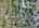 Blurred preview of media: DJI_20250909141016_0288_D_7_0289_D_7_0290_D_easyHDR