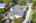 Blurred preview of media: iPixx_10_17