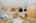 Blurred preview of media: 1-35