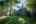 Blurred preview of media: TEL00496-HDR
