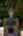 Blurred preview of media: 121 Exterior Shots-40