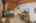Blurred preview of media: 1E0A3712 copy