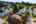 Blurred preview of media: 1-2