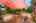 Blurred preview of media: 1-32