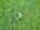 Blurred preview of media: DJI_20260608140855_0560_D_1_D_2_D_easyHDR