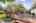 Blurred preview of media: 250245-35