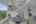 Blurred preview of media: DSC00732