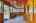 Blurred preview of media: 850_8385