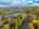 Blurred preview of media: 1600 DYLAN ST web-47