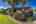 Blurred preview of media: iPixx_00_6