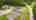 Blurred preview of media: Colt Ln-25