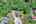 Blurred preview of media: DJI_0151_2_3_easyHDR
