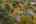 Blurred preview of media: 1-67