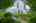 Blurred preview of media: The Metropolitan 43