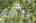 Blurred preview of media: DJI_0348