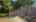 Blurred preview of media: n1