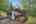 Blurred preview of media: side Apr 3, 2026 at 05_33_34 PM