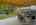 Blurred preview of media: IMG_3933