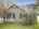 Blurred preview of media: DJI_0738