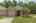 Blurred preview of media: 80 Riviera-1