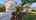 Blurred preview of media: Unknown media