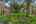 Blurred preview of media: 96 Jardin De Mer Pl-2