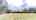 Blurred preview of media: Jarett-Mutts-Photography-06082018_085109