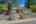 Blurred preview of media: DSC09611