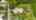 Blurred preview of media: 13170 SE Flamingo Dr-9