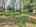 Blurred preview of media: DJI_20250602145038_0574_D_5_D_6_D_easyHDR
