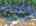 Blurred preview of media: 9p
