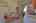 Blurred preview of media: IMG_5453_4_5