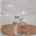 Blurred preview of media: hf_20261004_210315_53f7a7a9-0cdc-444c-8904-2dfa55a27220