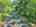 Blurred preview of media: DJI_20260829152741_0438_D_39_D_40_D_easyHDR