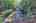 Blurred preview of media: 9zx