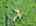 Blurred preview of media: DJI_20260608140846_0557_D_8_D_9_D_easyHDR