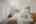 Blurred preview of media: DSC01456