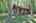Blurred preview of media: IMG_4688_89_90_easyHDR