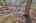 Blurred preview of media: IMG_9763_4_5_easyHDR