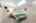 Blurred preview of media: 28